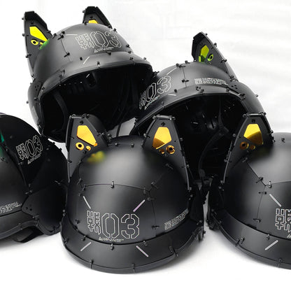 Cat ears equipped helmet