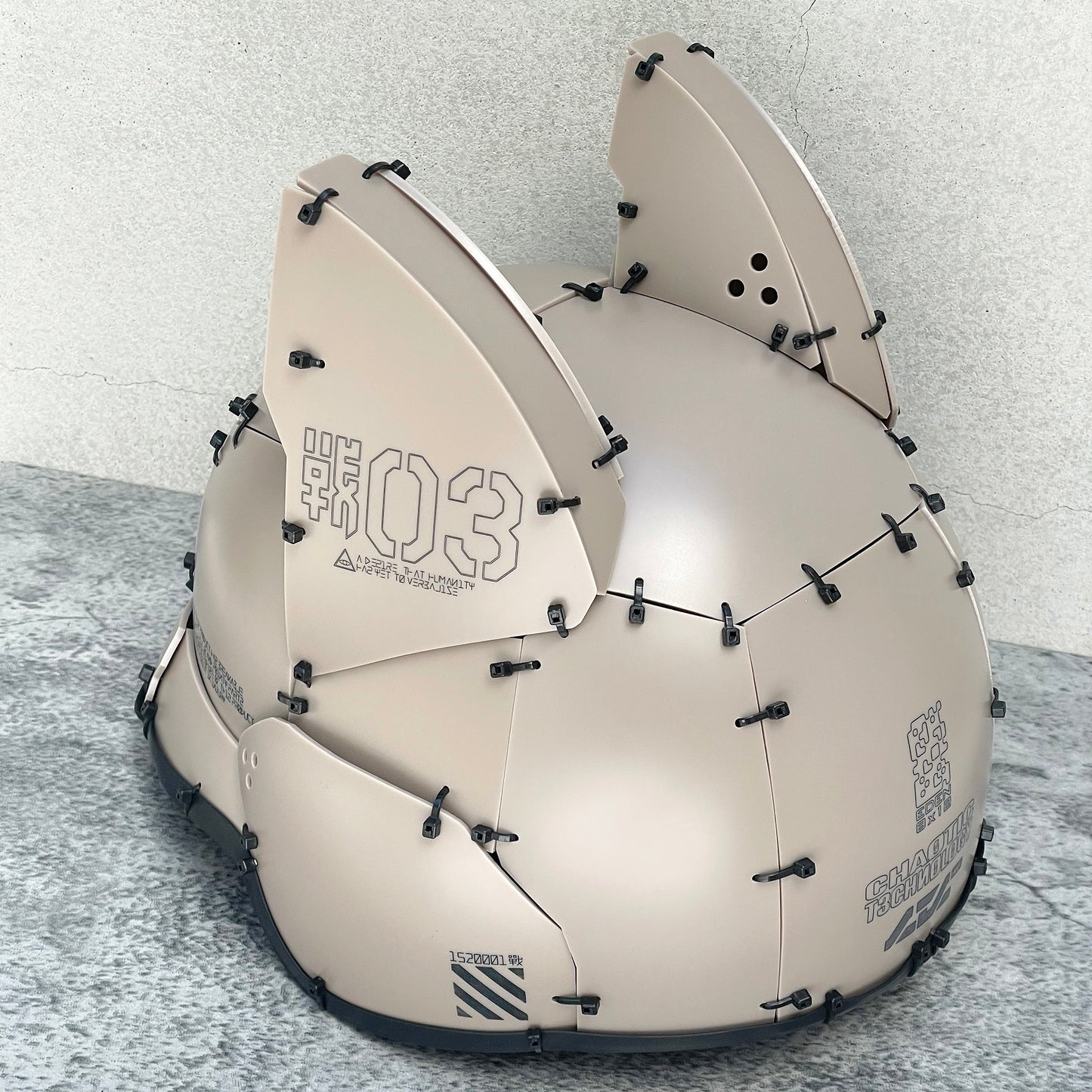 Cat ears equipped helmet